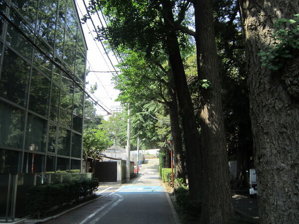 アイビハイツ三田の写真 5枚目