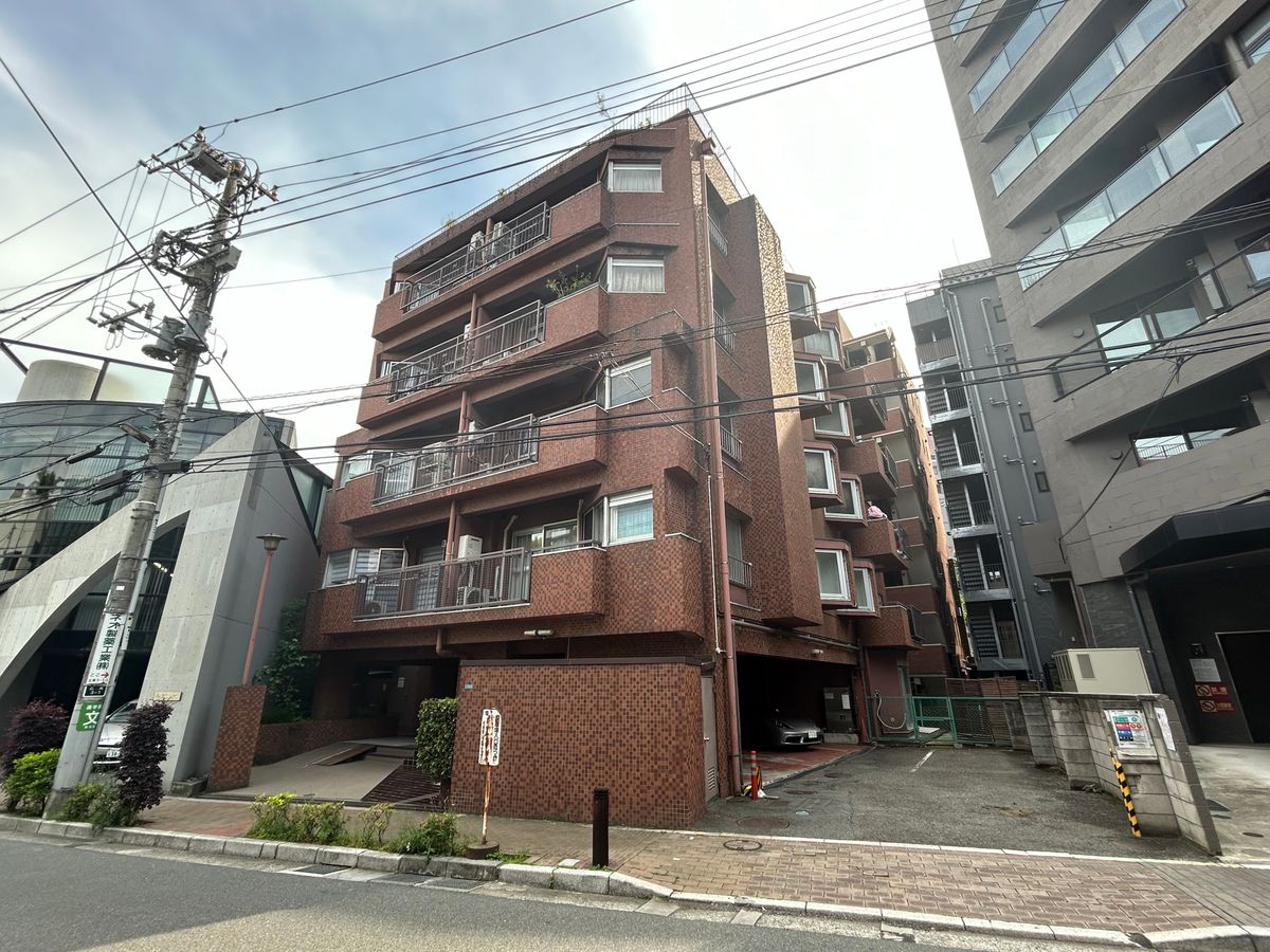 インペリアル常盤松の写真 4枚目