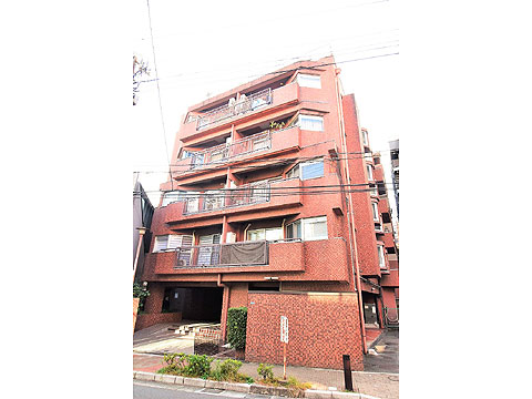 インペリアル常盤松の写真 6枚目