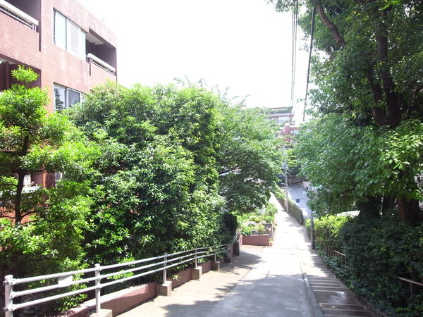 ノア南麻布の写真 8枚目