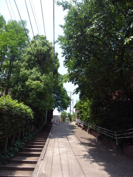 ノア南麻布の写真 9枚目