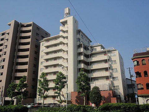 藤和白山コープの写真 10枚目