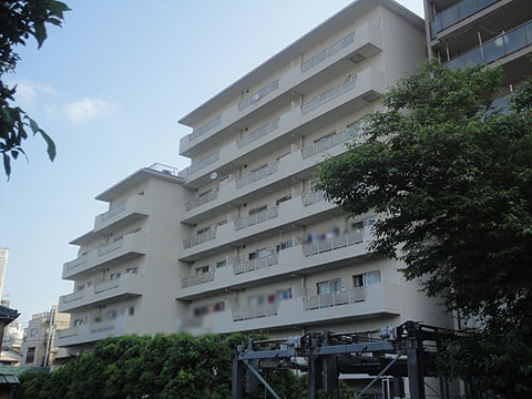 藤和白山コープの写真 11枚目