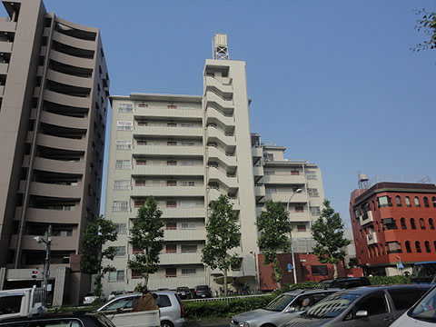 藤和白山コープの写真 12枚目