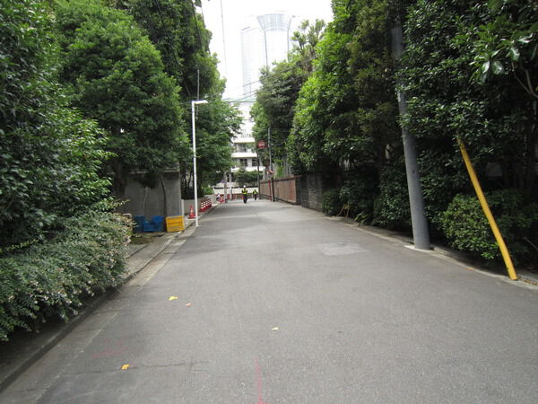 ホーマットコンコードの写真 10枚目