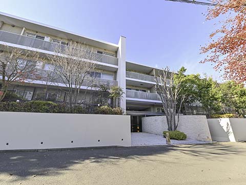 岡本レジデンスの写真 13枚目