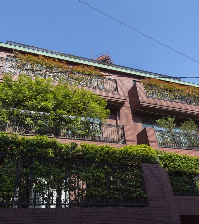 ドムス西麻布の写真 5枚目