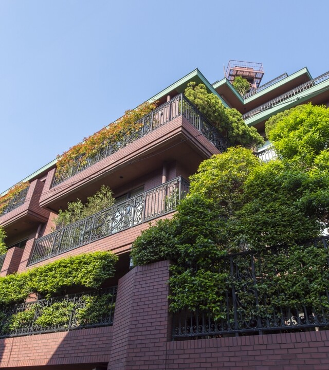 ドムス西麻布の写真 8枚目