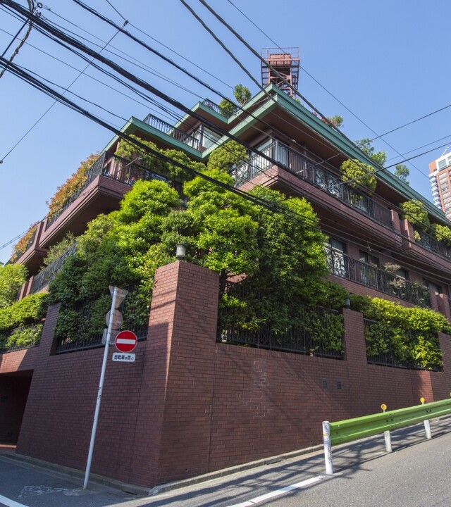 ドムス西麻布の写真 10枚目