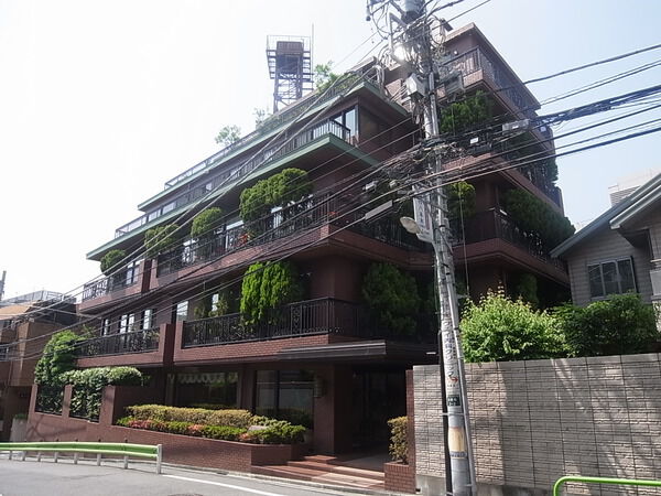 ドムス西麻布の写真 6枚目