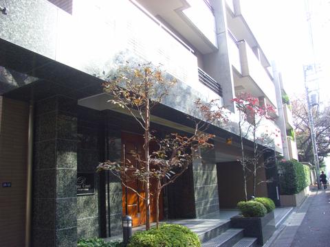 ディアナコート松濤の写真 11枚目