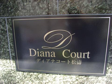 ディアナコート松濤の写真 13枚目