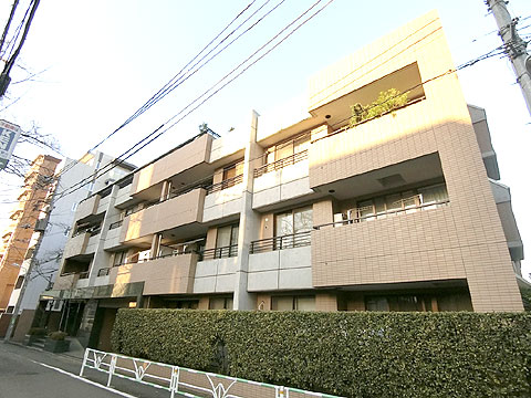 ディアナコート松濤の写真 14枚目