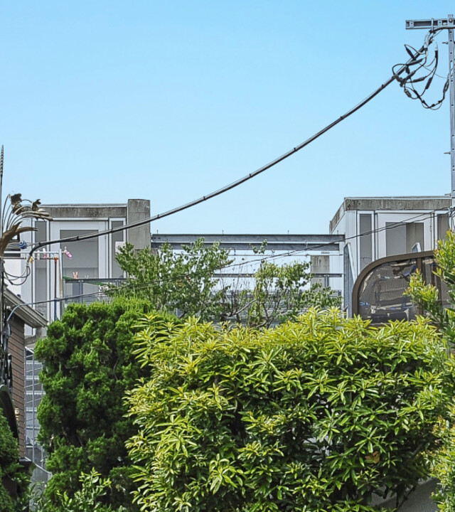 セボンヴァンヴェール成城の写真 3枚目