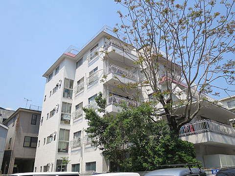 広尾大和マンションの写真 16枚目