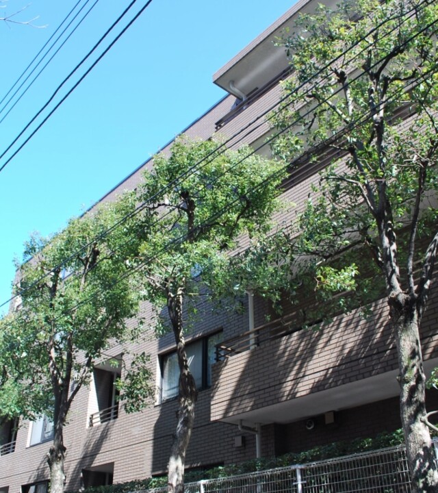 シティコート代々木の写真 5枚目