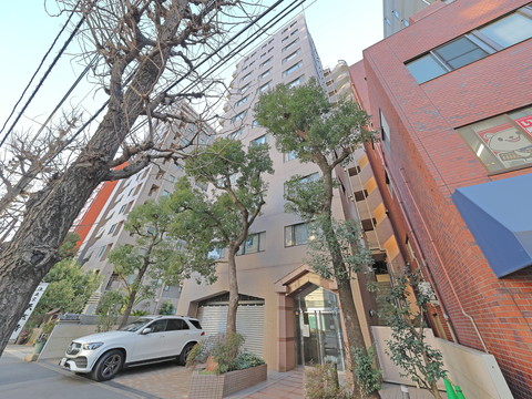 エクレーヌ本駒込の写真 12枚目