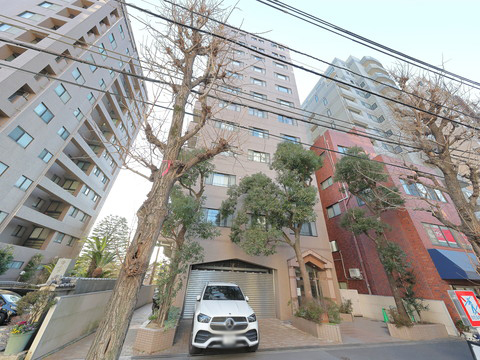 エクレーヌ本駒込の写真 13枚目