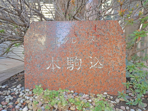 エクレーヌ本駒込の写真 20枚目