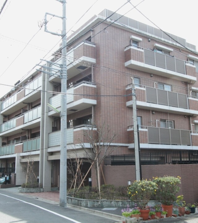 アデニウム二子玉川の写真 6枚目