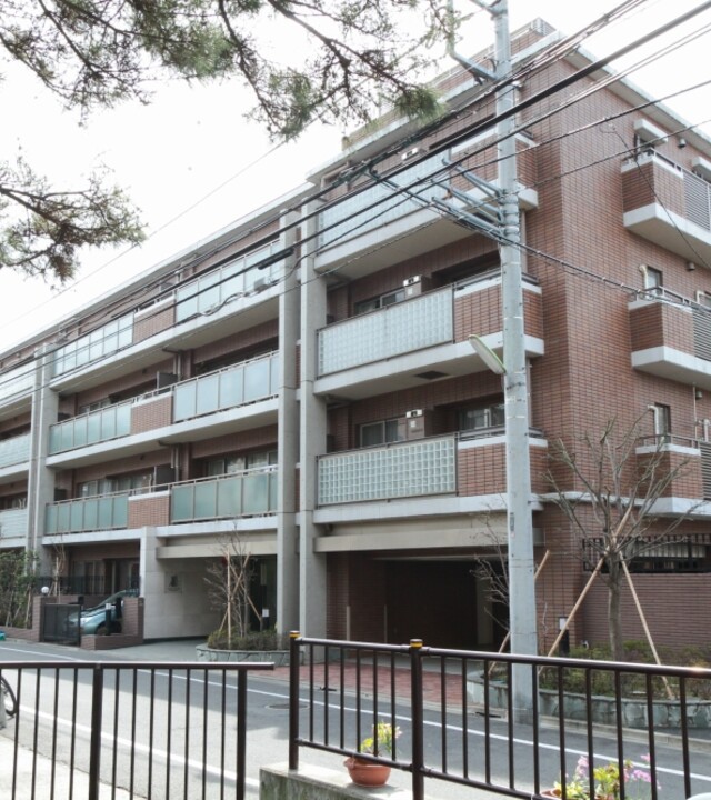 アデニウム二子玉川の写真 7枚目