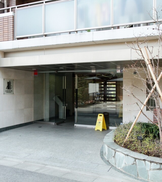 アデニウム二子玉川の写真 10枚目