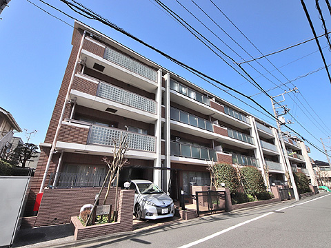 アデニウム二子玉川の写真 11枚目