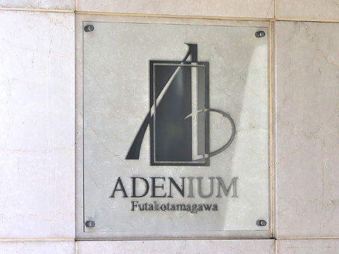 アデニウム二子玉川の写真 12枚目