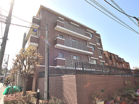 アデニウム二子玉川の写真 15枚目