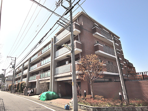 アデニウム二子玉川の写真 16枚目