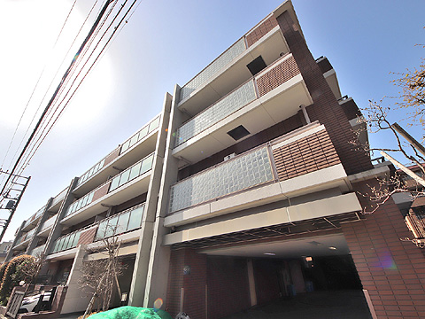 アデニウム二子玉川の写真 17枚目