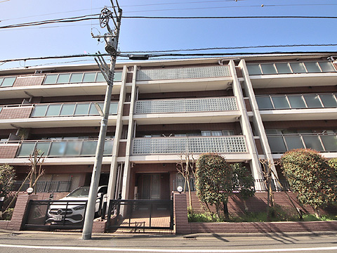 アデニウム二子玉川の写真 18枚目