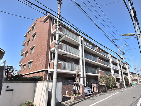 アデニウム二子玉川の写真 19枚目