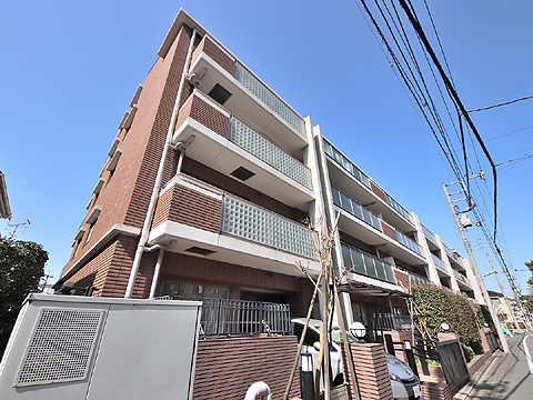 アデニウム二子玉川の写真 20枚目