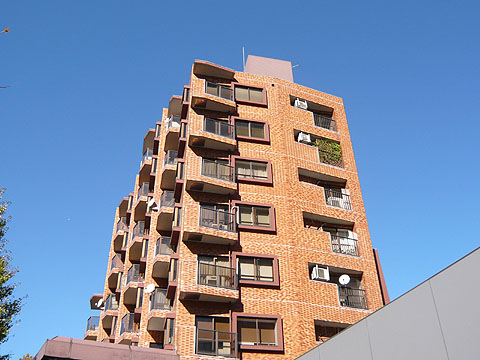 シャーレー原宿の写真 6枚目