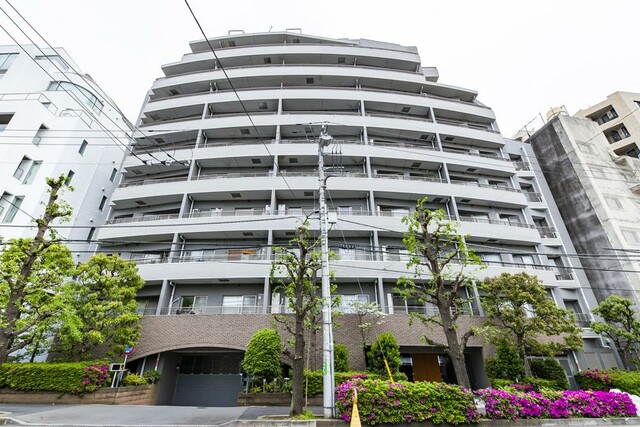 イトーピア広尾ヒルズクローチェの写真 6枚目