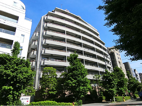 イトーピア広尾ヒルズクローチェの写真 11枚目