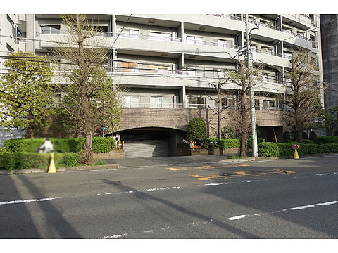 イトーピア広尾ヒルズクローチェの写真 20枚目