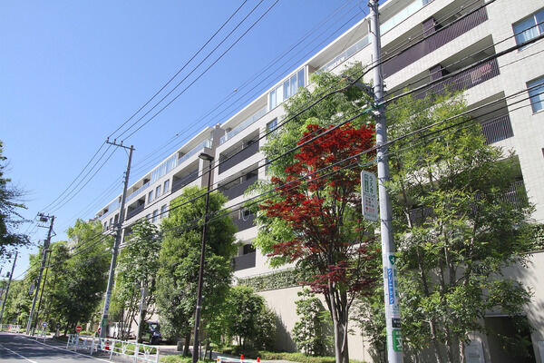 センチュリーフォレストのエントランス・共用部