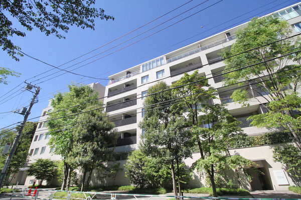 センチュリーフォレストの写真 3枚目