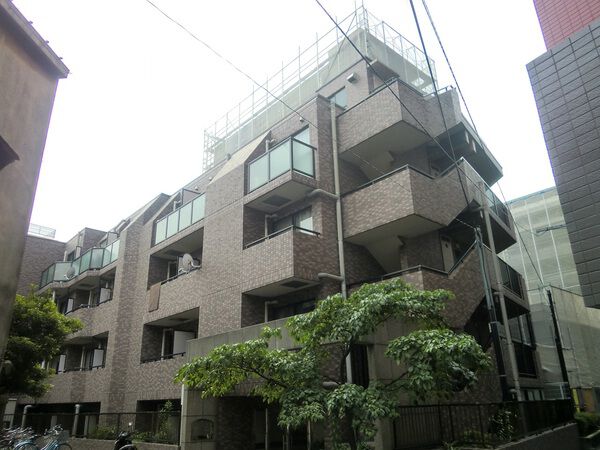 菱和パレス代々木公園の写真 6枚目