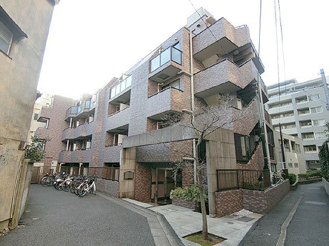 菱和パレス代々木公園の写真 13枚目