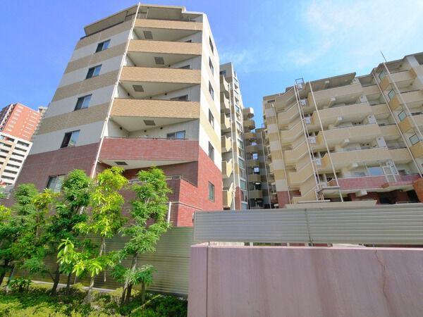 小石川ヒルズの写真 8枚目