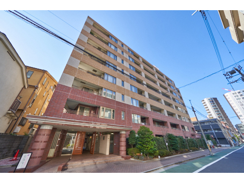 小石川ヒルズの写真 11枚目