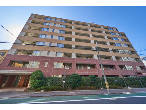 小石川ヒルズの写真 12枚目