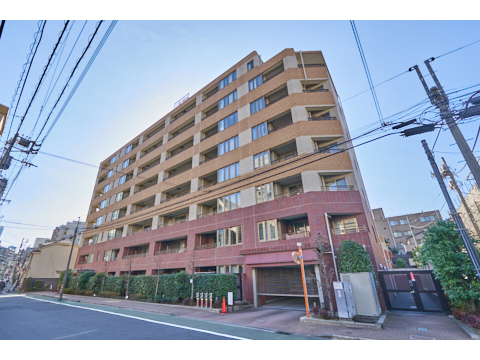 小石川ヒルズの写真 13枚目