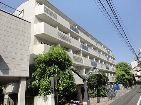 日神パレステージ本駒込の写真 6枚目