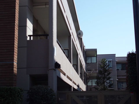 朝日マンション等々力の写真 14枚目