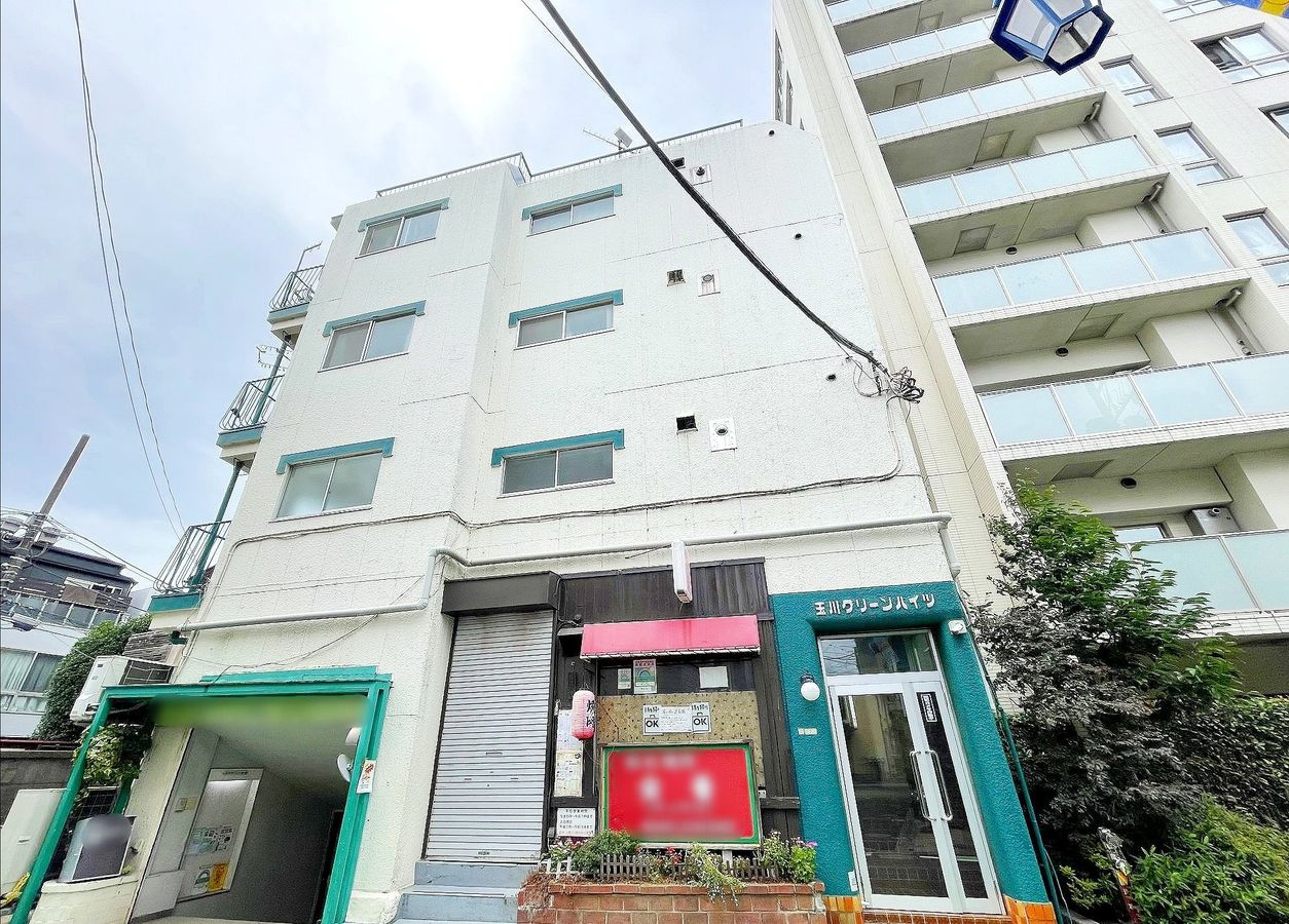 玉川グリーンハイツの写真 11枚目