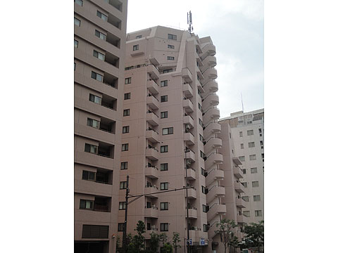 カーネ小日向の写真 4枚目